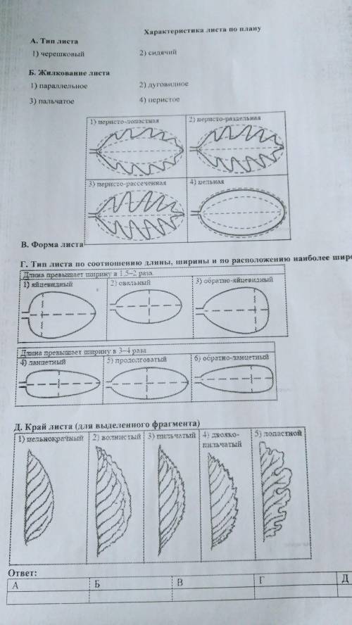Лабораторная работа 6 . Морфология листа. Дать характеристику листа. 1. Берёза повислая, 2. Клен, 3