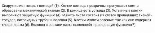 исправить не правильный предложение 