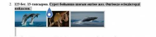 Сурет бойынша шағын әңгіме жаз. Әңгімеде есімдіктерді пайдалан.
