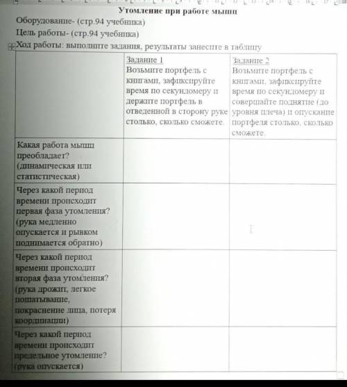Лабораторная работа. Мыщцы человеческого тела 