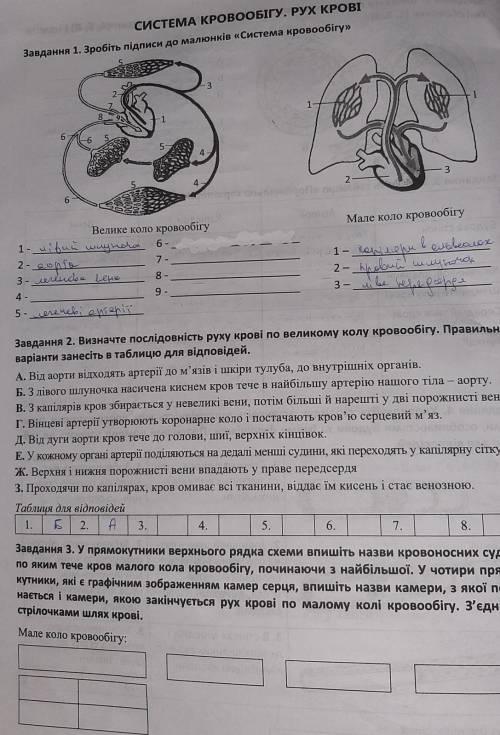 три задания(то что я написала не важно). Биология 8 класс 