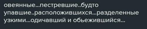 написать какие из этих пртчастий страдательные, а какие действительные