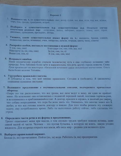 Решите контрольную по русскому языку 