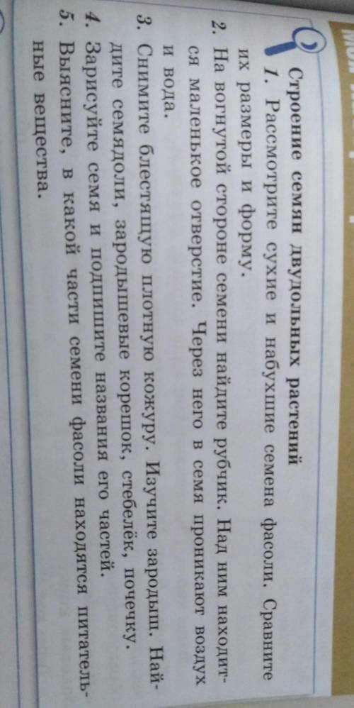 До сдачи осталось полчаса ​