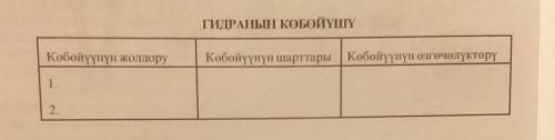 дам (10B) авторы:А. ТоктосуновК. Бейшебаев Б. Мамытова 
