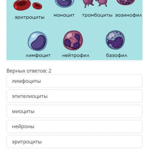 Среди предложенных выбери те, которые являются клетками крови