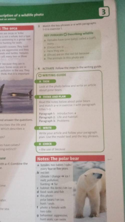 4 ACTIVATE Follow the steps in the writing guide. O WRITING GUIDEA TASKLook at the photo below and w