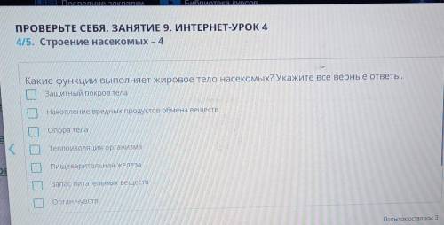 Выберите правильные ответы