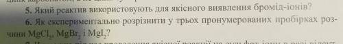 сделать №5 и №6. Буду очень благодарна)