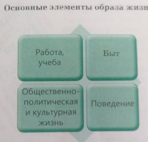 По картинке, записать, как вы понимаете основные элементы образа жизни