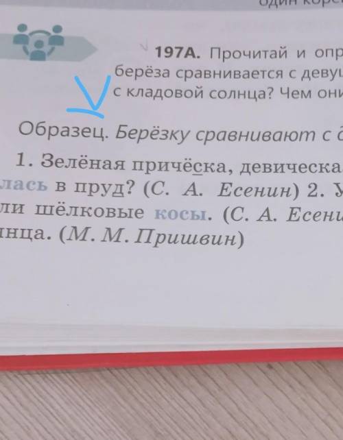 С косами, природа - 197А. Прочитай и определи значения выделенных слов.1. Зелёная причёска, девическ