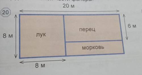 Найдите площадь каждого участка в соответствии с планом сада на рисунке 20