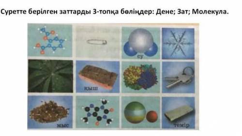 Суреттегі берілген заттарды 3 топқа бөл:дене, зат, малекула.