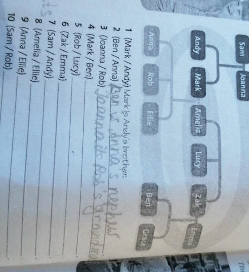 Look at the Family Tree. Write sentences about The People in brackets. Please
