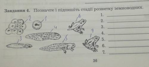 ть біологія.Позначте і підпишіть стадії розвитку зесноводних