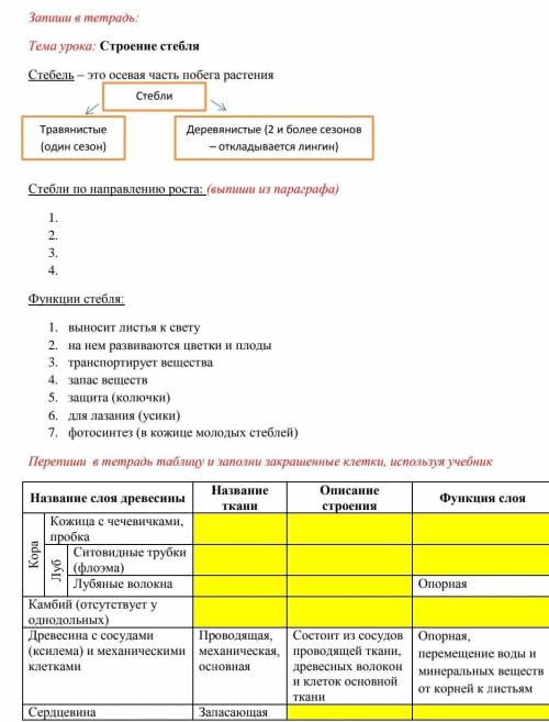 Биология 6 класс параграф 9 строения стебля таблица вот фото