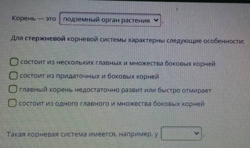 Такая корневая система имеется у внизу есть вопрос