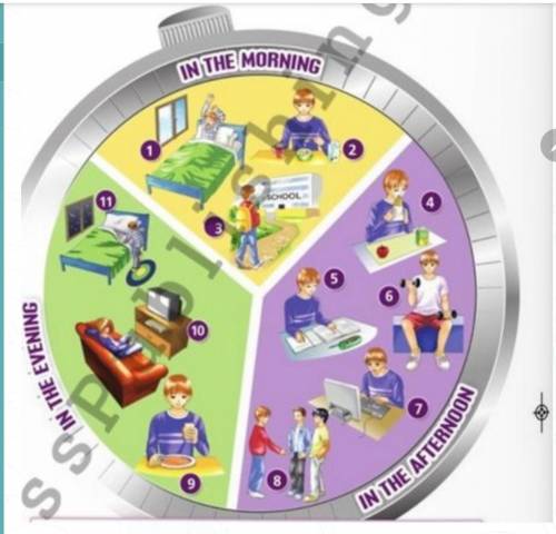 Look at Kevin's daily routine. Match the sentences with numbers.