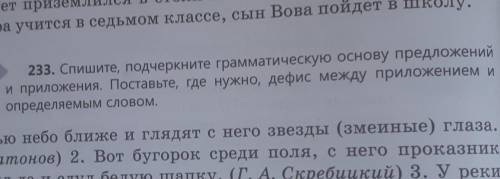 Спишите,подчеркните гоамматическую основу предьожений и приложения. Поставьте, где нужно, дефиз межд