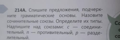 Упр 214А Спишите предложения, подчеркните грамматические основы. Определите типы союзов