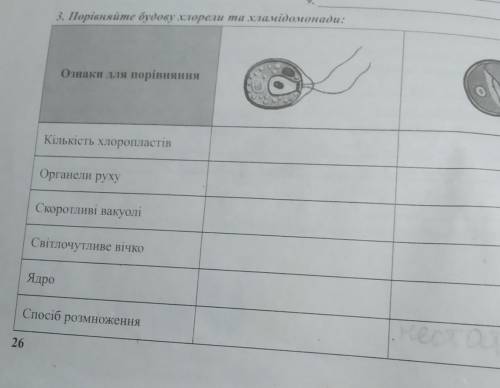 3. Порівняйте будову хлорели та хламідомонади