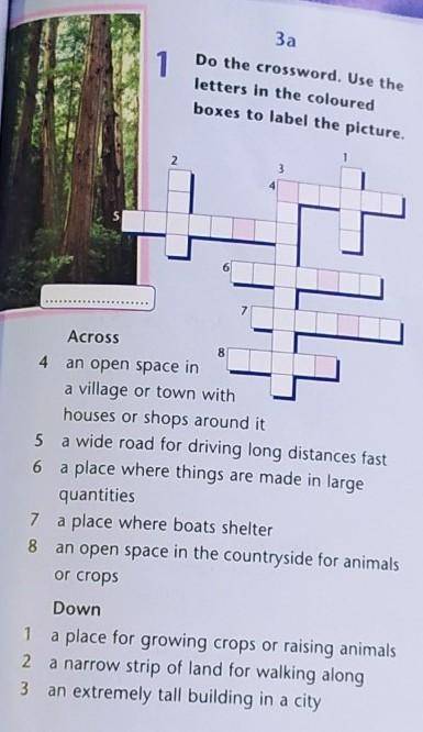 Do the crossword . Use the letters in the coloured boxes to label the picture.