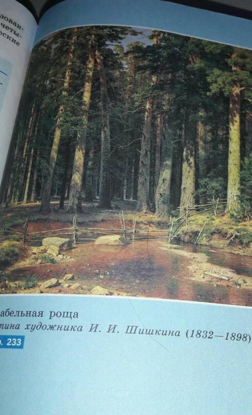 Описание картины И.И.Шишкина Корабельная роща 