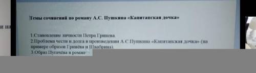 сочинение по плану очень не забирайте просто так мне нужно до 14:00 сдать) 