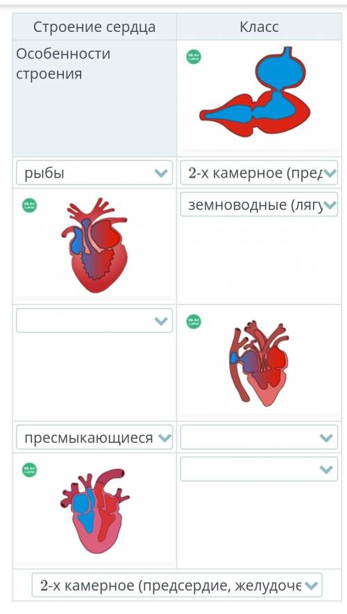 Кто нибудь знает ответ на этот вопрос? 