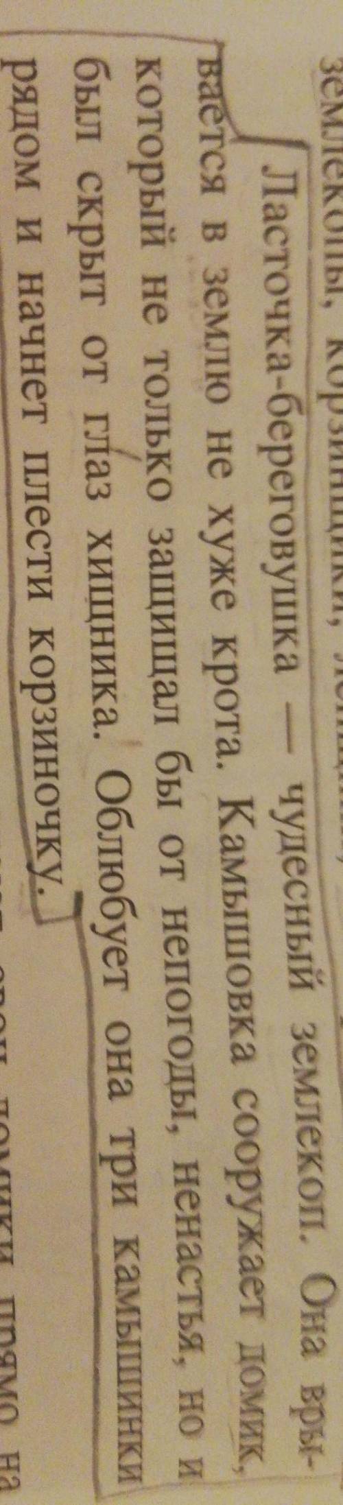 подчеркнуть все орфограмы в словах: