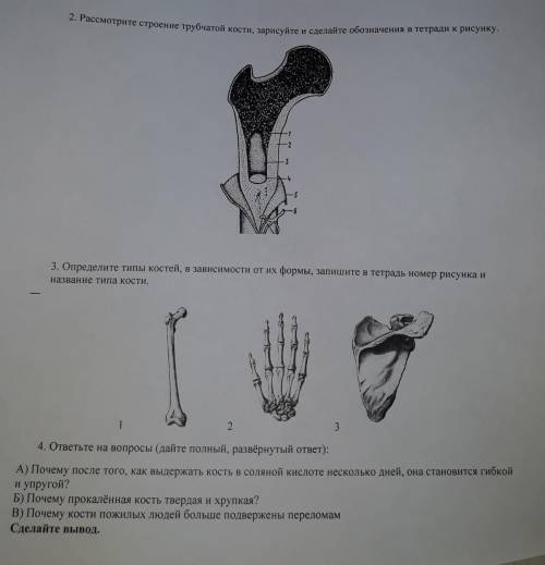 Номер 2 и номер 4. 8 класс не отвечайте кто не знает, буду банить