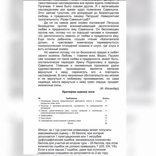 Понимание смысла предложенного текста и Степень раскрытия темы эссе