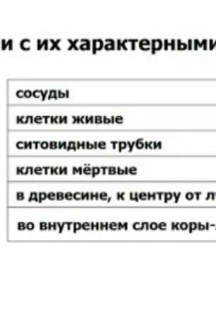 Соотнесите ткани с их характерными признаками ксилема и флоэмаБИОЛОГИЯ