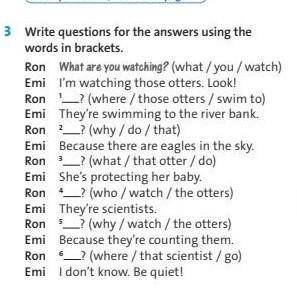 Write questions for the answers using the words in brackets