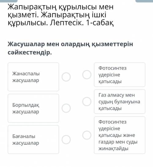 Биология. Жанаспалы жасушалар, бағаналы жасушалар, борпылдақ жасушалар. 