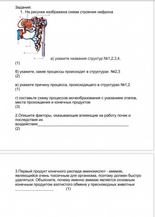 9 класс Биология. Только правильный ответ