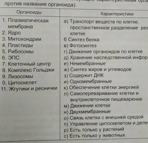 Распределите характеристики по соответствующим оргоноидам номер 17