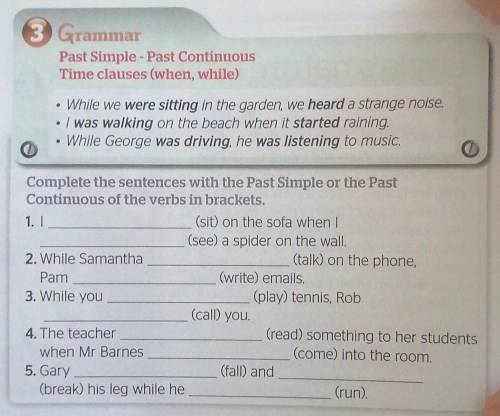 Complete the sentences with the Past Simple or the PastContinuous of the verbs in brackets.
