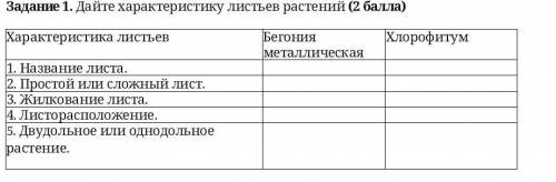 Дайте характеристику листьев растений ( ) Характеристика листьевБегония 