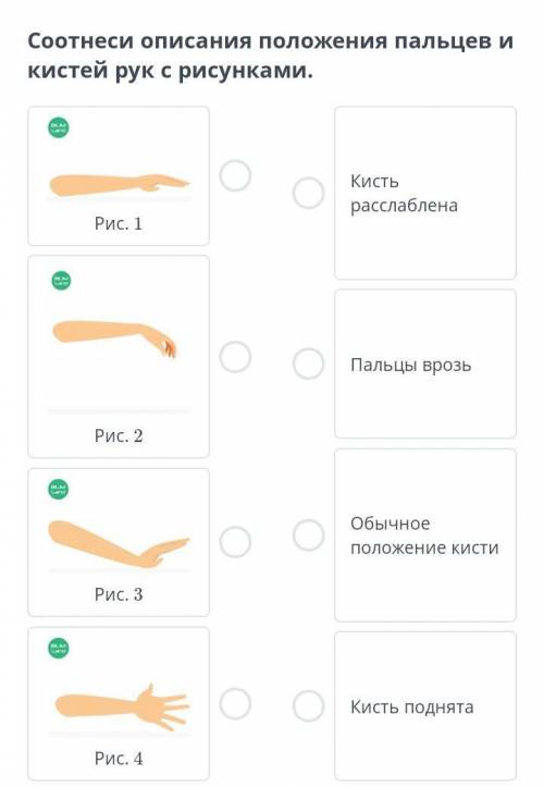 Соотнеси описания положения пальцев и кистей рук с рисунками.
