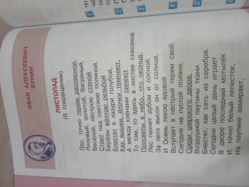 Что означают подчёркнутые слова?