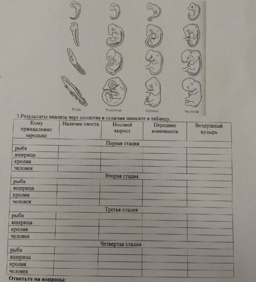 Заполните таблицу, просто +/-