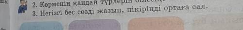 Негізгі бес сөзді жазып, пікіріңді ортаға сал.