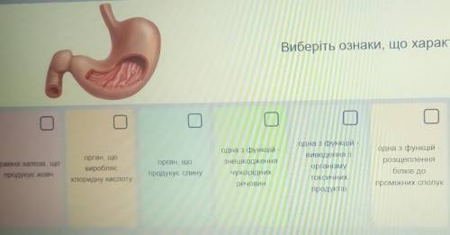 Виберіть ознаки, що характеризують орган