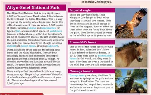 What are some of the unusual animals and plants in the park?