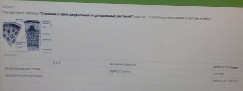 ОЧЕНЬ!БиологияЗаполните ячейку где написано однодольные растения!