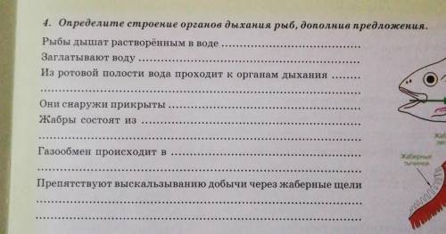 Определите строение органов дыхания рыб дополнив предложения. Предложения на картинке. 