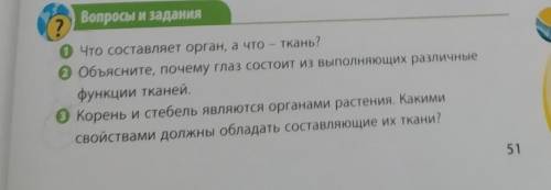 ответьте на вопросы Как можно скорее.