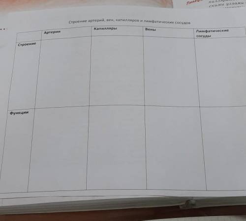 Таблица построения функции сосудов артерий вен и капилляров и лимфатических сосудов