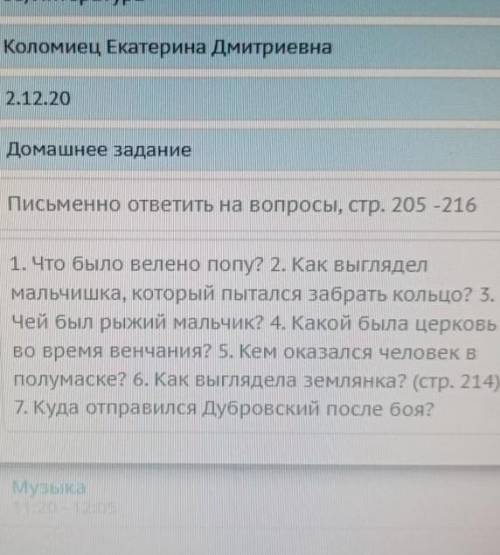 с вопросами по роману Дубровский. ​